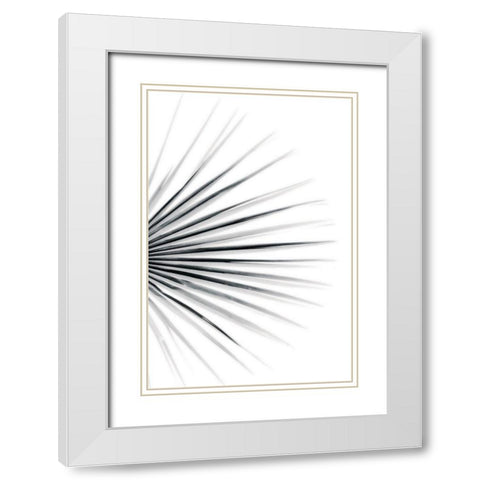 Palm IV White Modern Wood Framed Art Print with Double Matting by Pugh, Jennifer