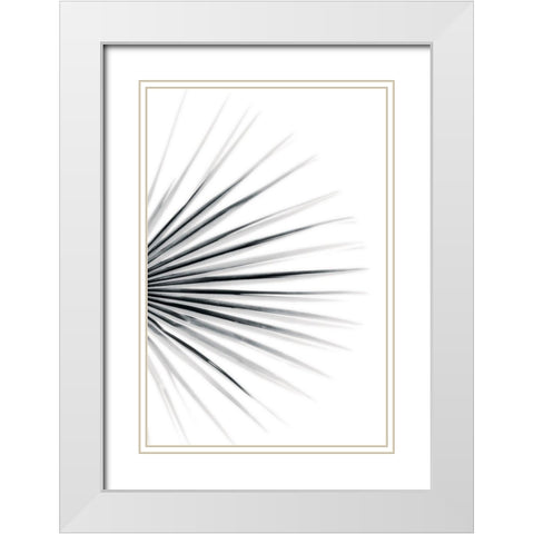 Palm IV White Modern Wood Framed Art Print with Double Matting by Pugh, Jennifer