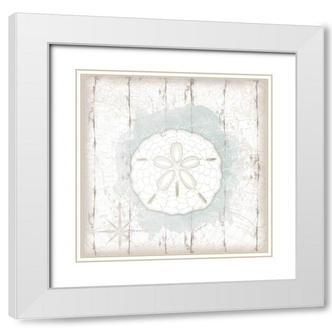 Calming Coastal Sand Dollar White Modern Wood Framed Art Print with Double Matting by Pugh, Jennifer