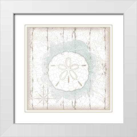 Calming Coastal Sand Dollar White Modern Wood Framed Art Print with Double Matting by Pugh, Jennifer