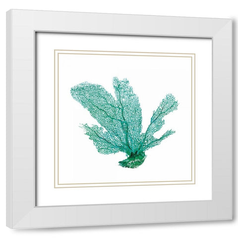 Green Sea White Modern Wood Framed Art Print with Double Matting by Brando, JJ