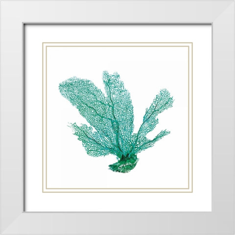 Green Sea White Modern Wood Framed Art Print with Double Matting by Brando, JJ