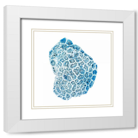 Blue Sea White Modern Wood Framed Art Print with Double Matting by Brando, JJ