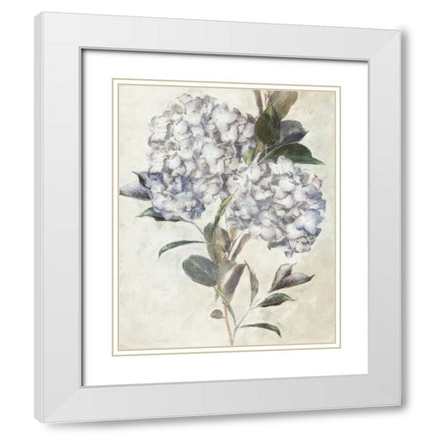 Hydrangea IV White Modern Wood Framed Art Print with Double Matting by Blue, Nina