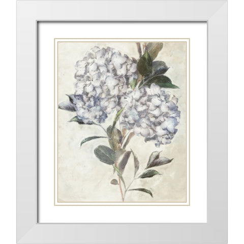 Hydrangea IV White Modern Wood Framed Art Print with Double Matting by Blue, Nina