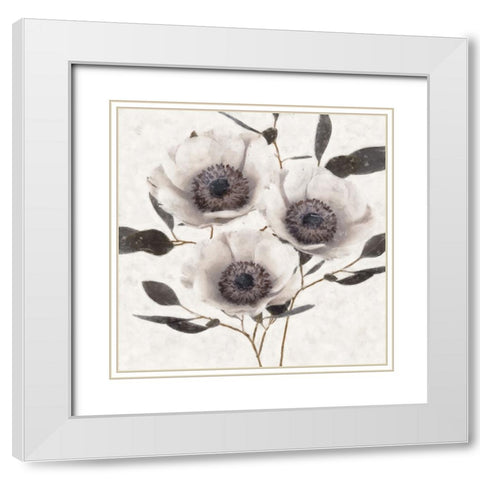 Fable Anemone White Modern Wood Framed Art Print with Double Matting by Blue, Nina