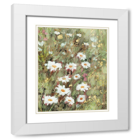 Daisy Field II White Modern Wood Framed Art Print with Double Matting by Blue, Nina