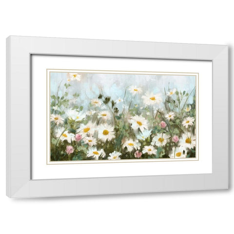Field of Daisies White Modern Wood Framed Art Print with Double Matting by Blue, Nina