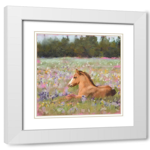 Spring Time Foal White Modern Wood Framed Art Print with Double Matting by Blue, Nina