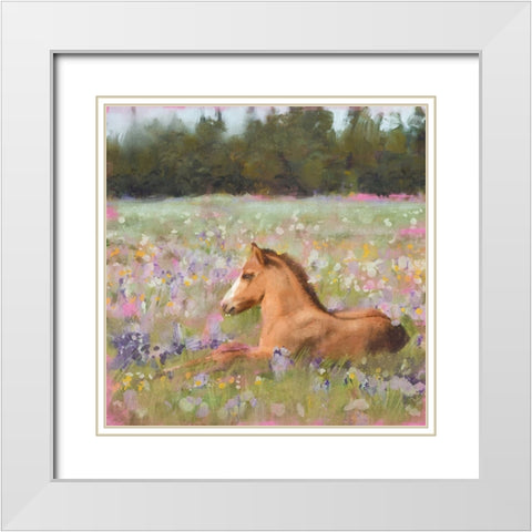 Spring Time Foal White Modern Wood Framed Art Print with Double Matting by Blue, Nina