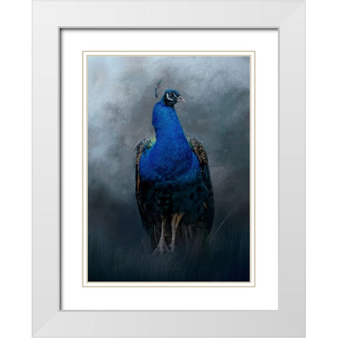 Peacock Prince White Modern Wood Framed Art Print with Double Matting by Parker, Kelley