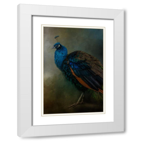 Proud Peacock  White Modern Wood Framed Art Print with Double Matting by Parker, Kelley