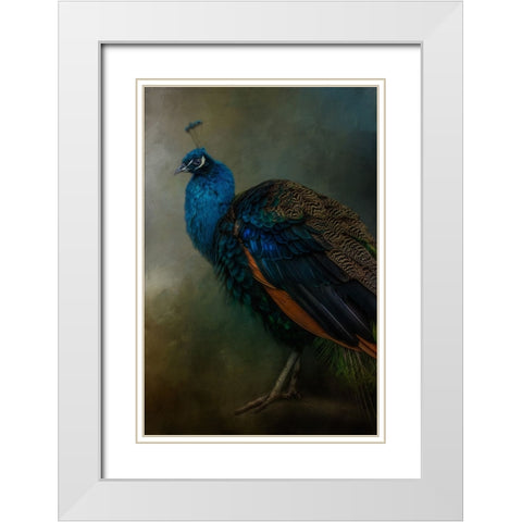 Proud Peacock  White Modern Wood Framed Art Print with Double Matting by Parker, Kelley