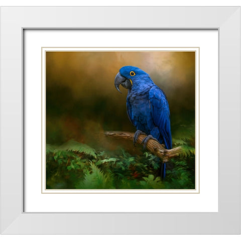 Paradise Perch White Modern Wood Framed Art Print with Double Matting by Parker, Kelley