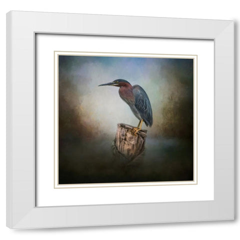 The Perfect Perch White Modern Wood Framed Art Print with Double Matting by Parker, Kelley