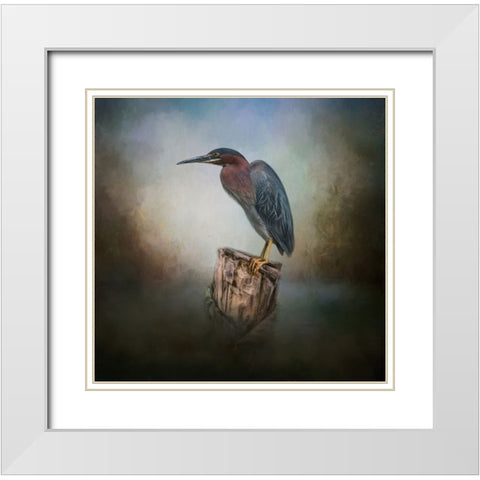 The Perfect Perch White Modern Wood Framed Art Print with Double Matting by Parker, Kelley