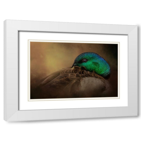 Keeping One Eye Open White Modern Wood Framed Art Print with Double Matting by Parker, Kelley