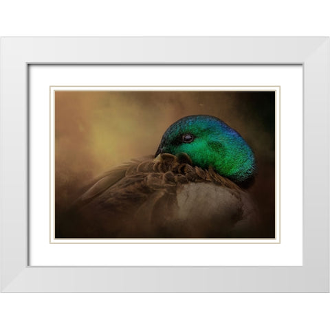 Keeping One Eye Open White Modern Wood Framed Art Print with Double Matting by Parker, Kelley