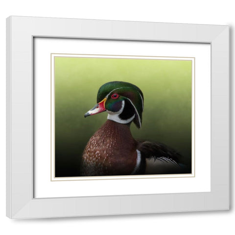 A Duck of Many Colors White Modern Wood Framed Art Print with Double Matting by Parker, Kelley