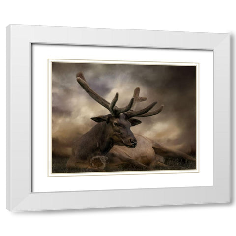 Headstrong White Modern Wood Framed Art Print with Double Matting by Parker, Kelley