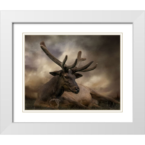 Headstrong White Modern Wood Framed Art Print with Double Matting by Parker, Kelley