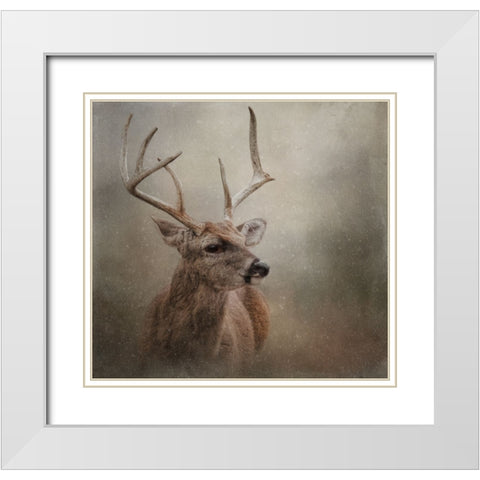 Winter Messenger White Modern Wood Framed Art Print with Double Matting by Parker, Kelley
