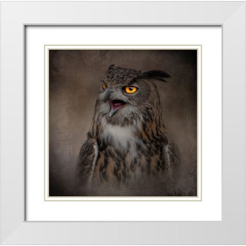 Stern Warning White Modern Wood Framed Art Print with Double Matting by Parker, Kelley