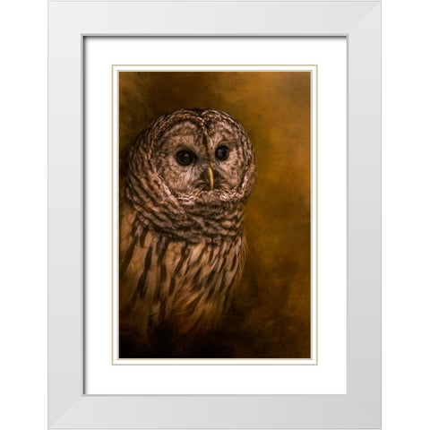 Curious Eyes White Modern Wood Framed Art Print with Double Matting by Parker, Kelley