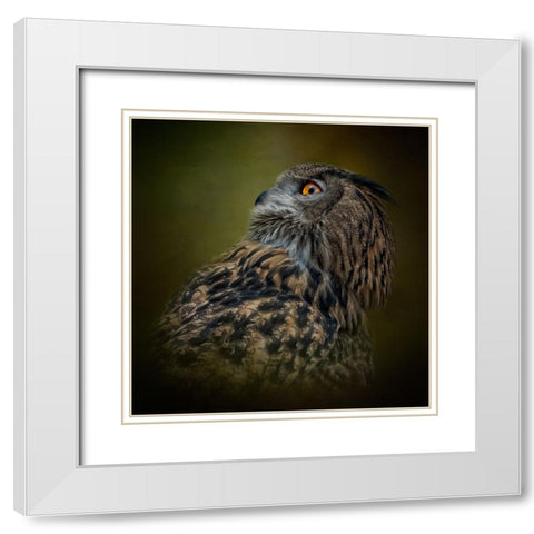 Whats Above White Modern Wood Framed Art Print with Double Matting by Parker, Kelley