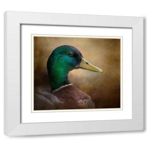 Magnificent Mallard White Modern Wood Framed Art Print with Double Matting by Parker, Kelley