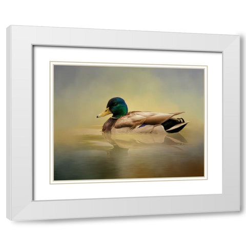 Mr. Mallard White Modern Wood Framed Art Print with Double Matting by Parker, Kelley