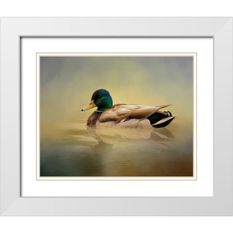 Mr. Mallard White Modern Wood Framed Art Print with Double Matting by Parker, Kelley