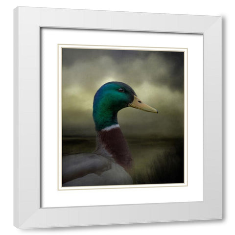 Dapper Drake White Modern Wood Framed Art Print with Double Matting by Parker, Kelley