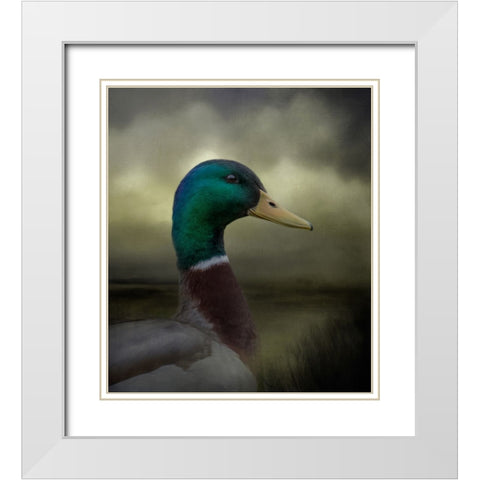 Dapper Drake White Modern Wood Framed Art Print with Double Matting by Parker, Kelley