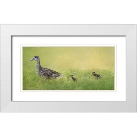 Follow the Leader White Modern Wood Framed Art Print with Double Matting by Parker, Kelley
