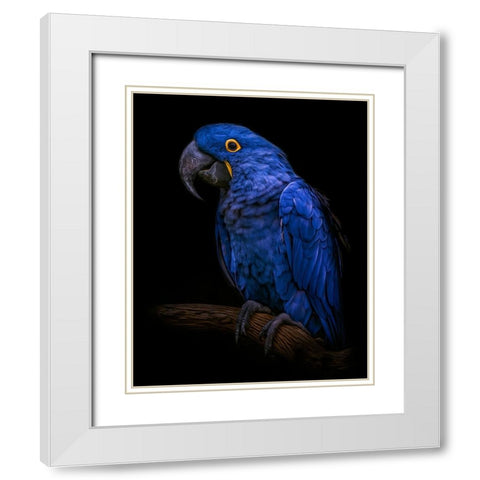 Enchanting   White Modern Wood Framed Art Print with Double Matting by Parker, Kelley