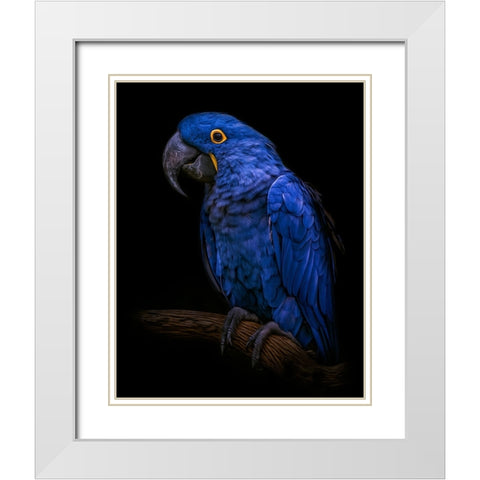 Enchanting   White Modern Wood Framed Art Print with Double Matting by Parker, Kelley