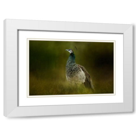 Green Gem White Modern Wood Framed Art Print with Double Matting by Parker, Kelley