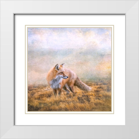 Seeking Mischief White Modern Wood Framed Art Print with Double Matting by Parker, Kelley