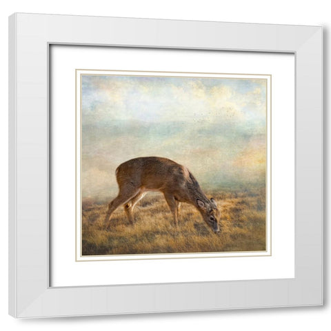 Mornings Foraging White Modern Wood Framed Art Print with Double Matting by Parker, Kelley