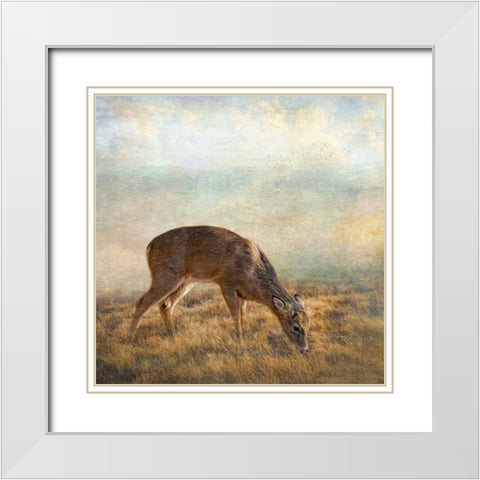 Mornings Foraging White Modern Wood Framed Art Print with Double Matting by Parker, Kelley