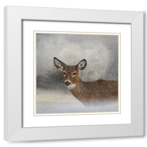 Snow Bound White Modern Wood Framed Art Print with Double Matting by Parker, Kelley