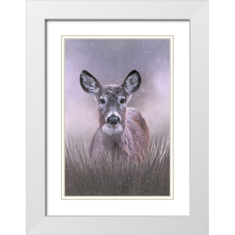 Snow Queen White Modern Wood Framed Art Print with Double Matting by Parker, Kelley