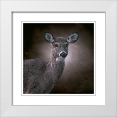 The Observer White Modern Wood Framed Art Print with Double Matting by Parker, Kelley