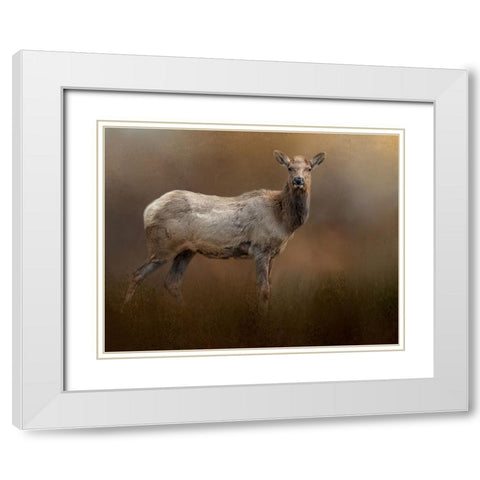 Quiet Elegance White Modern Wood Framed Art Print with Double Matting by Parker, Kelley