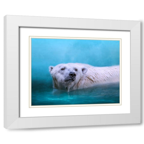 Arctic Swimmer White Modern Wood Framed Art Print with Double Matting by Parker, Kelley