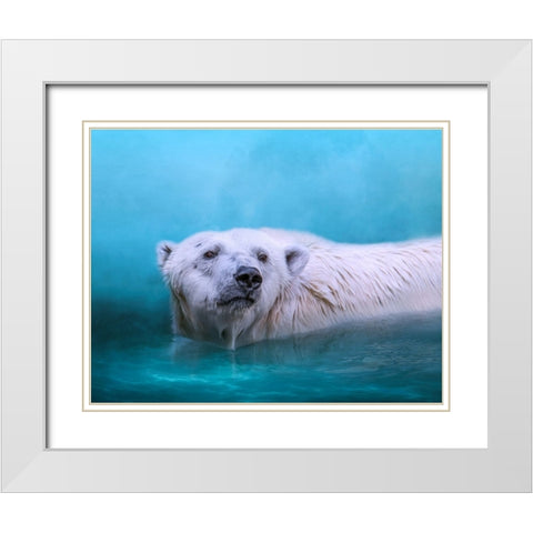 Arctic Swimmer White Modern Wood Framed Art Print with Double Matting by Parker, Kelley