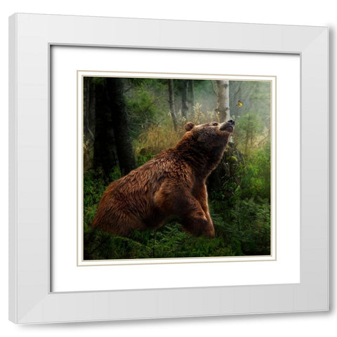 Curiosity White Modern Wood Framed Art Print with Double Matting by Parker, Kelley