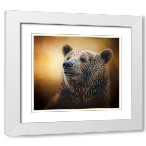 Golden Glow Grizzly White Modern Wood Framed Art Print with Double Matting by Parker, Kelley
