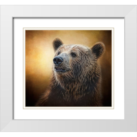 Golden Glow Grizzly White Modern Wood Framed Art Print with Double Matting by Parker, Kelley